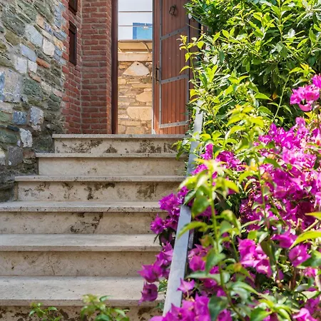 Ionia House * 셀주크