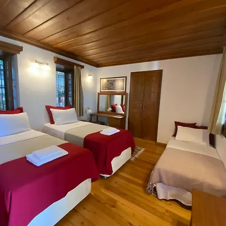 Ionia House * 셀주크