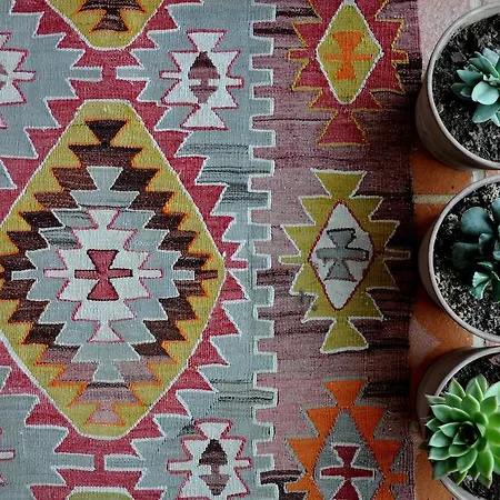 Ionia House 셀주크