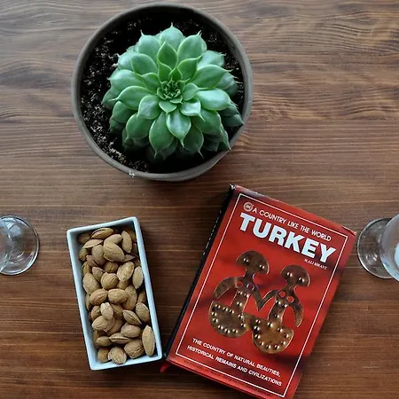 펜션 Ionia House 셀주크