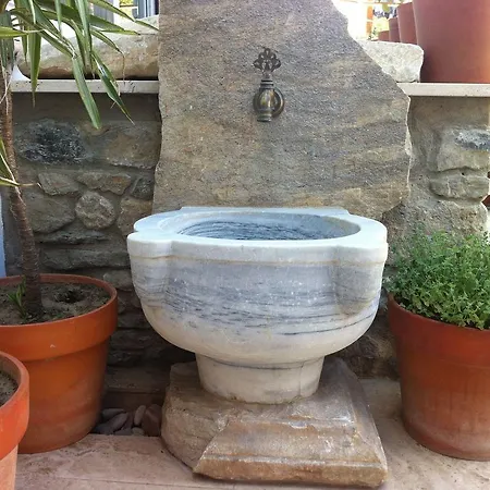 펜션 Ionia House 셀주크