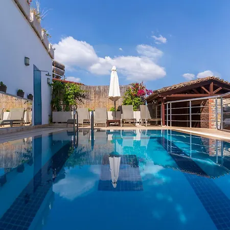 Сasa de vacaciones Ionia House Selçuk