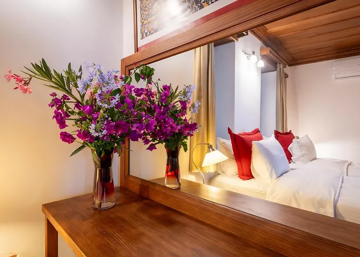 Ionia House Hébergement de vacances *