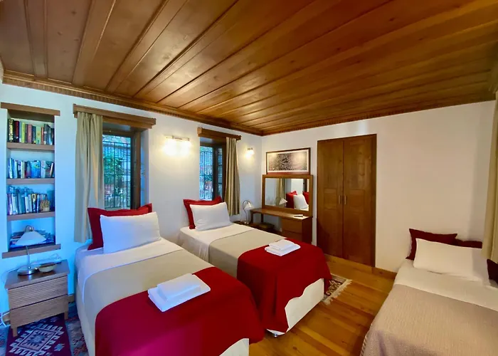 Hébergement de vacances Ionia House *