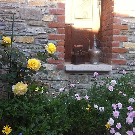 Ionia House セルチュク