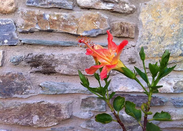 Hébergement de vacances Ionia House